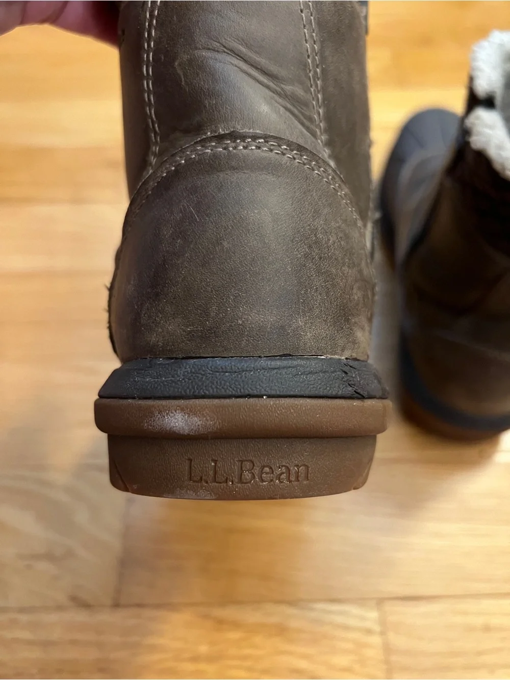 L.L. Bean bean storm
